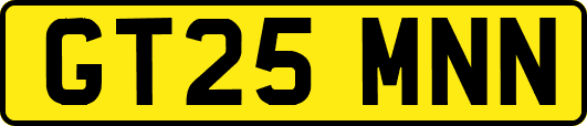GT25MNN
