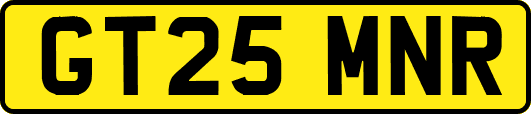 GT25MNR