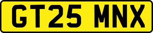 GT25MNX