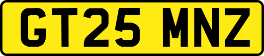 GT25MNZ