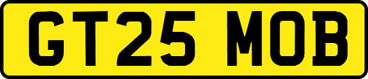 GT25MOB