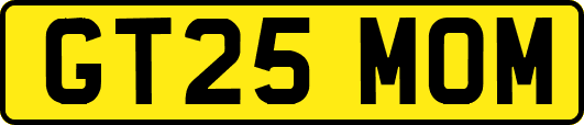 GT25MOM