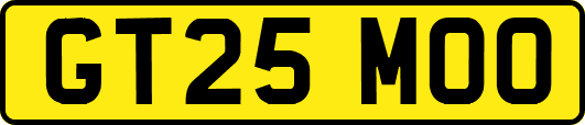 GT25MOO