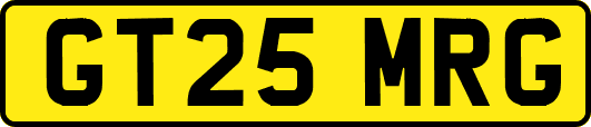 GT25MRG