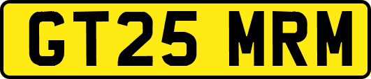 GT25MRM