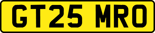 GT25MRO