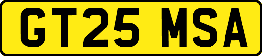 GT25MSA
