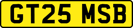 GT25MSB