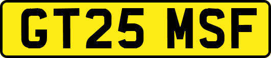 GT25MSF
