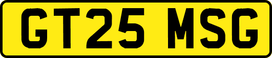 GT25MSG