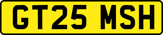 GT25MSH