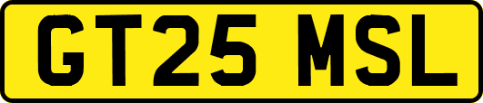 GT25MSL