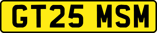 GT25MSM