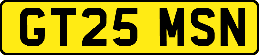 GT25MSN