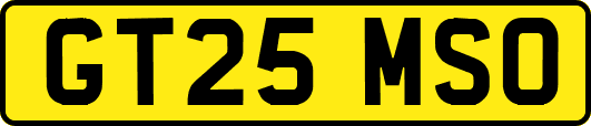 GT25MSO