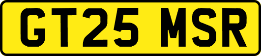 GT25MSR