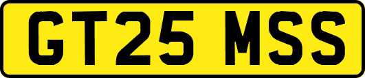 GT25MSS