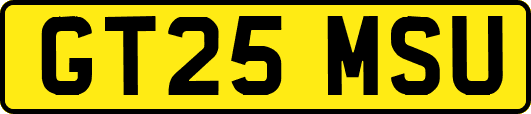 GT25MSU