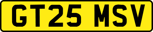 GT25MSV