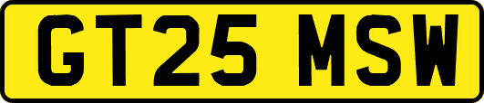 GT25MSW