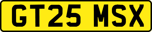 GT25MSX