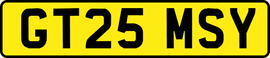 GT25MSY