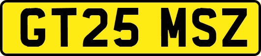 GT25MSZ