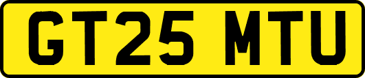 GT25MTU