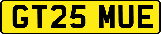 GT25MUE