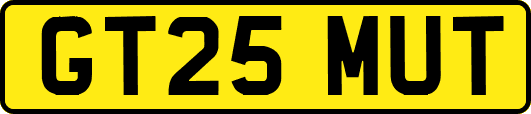GT25MUT