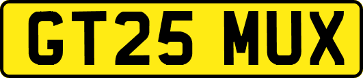 GT25MUX