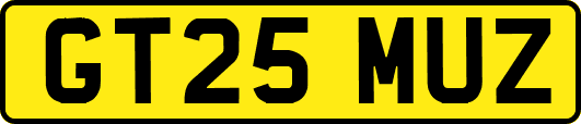 GT25MUZ