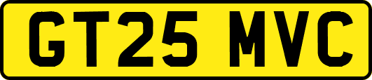 GT25MVC