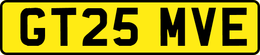 GT25MVE