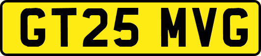 GT25MVG