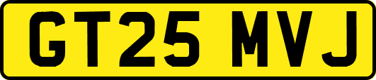 GT25MVJ
