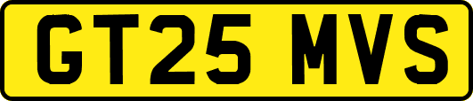 GT25MVS