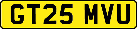 GT25MVU
