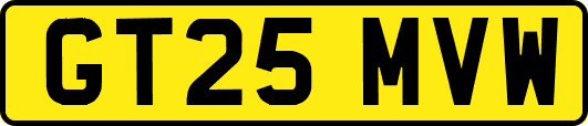 GT25MVW