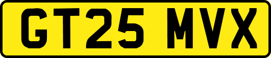 GT25MVX