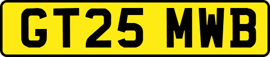 GT25MWB
