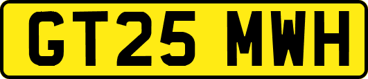 GT25MWH