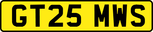 GT25MWS