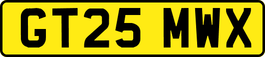 GT25MWX