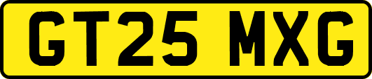 GT25MXG