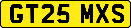 GT25MXS