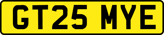 GT25MYE