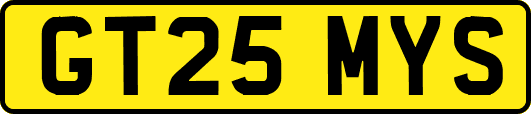 GT25MYS