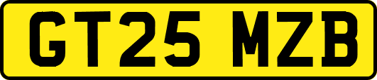 GT25MZB