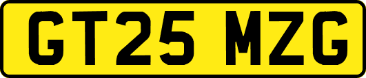 GT25MZG